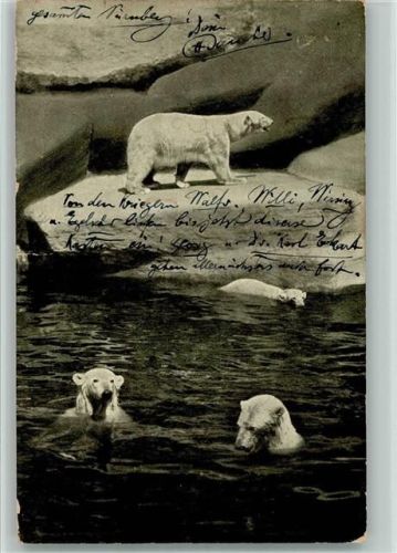 Nürnberg 1914 Eisbären im Tierpark Nürnberg