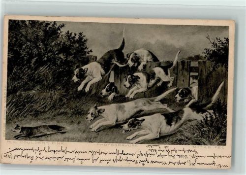 1904 Fuchsjagd - Jagdhund fassen bald den Fuchs AK