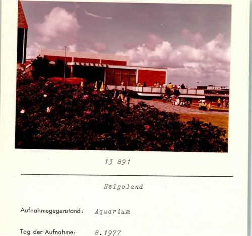 Helgoland Aquarium Foto montiert auf Karton
