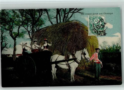 Heuernte, Tiergespann mit einer Walze? 1907 AK
