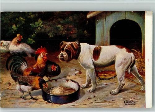 1914 sign Dorno - Hühner und Hund mit einer Hundehütte AK