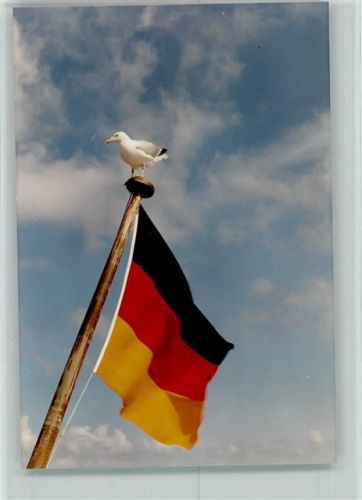 Möwe auf Deutschland-Flagge