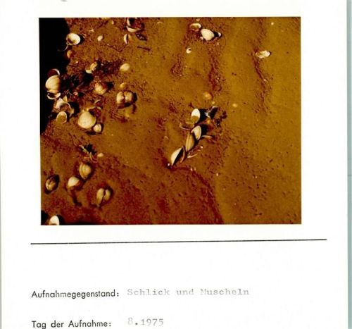 Schlick Foto montiert auf Karton