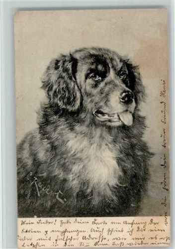 1902 Ströfer Serie 269 Nr. 7 - sign C. Reichert