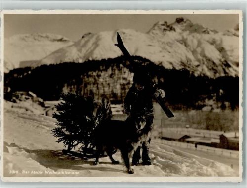 1937 Verlag Wilhelm Pleyer Nr. 2018 - Hund zieht einen Schlitten mit einem Tannenbaum
