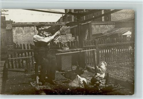 1913 Privathaushalt mit Hühner im Garten AK