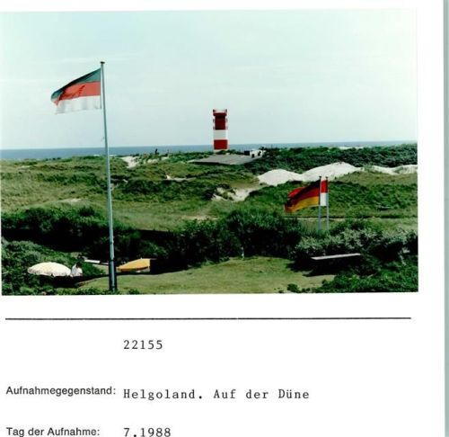 Helgoland Auf der Düne Foto montiert auf Karton