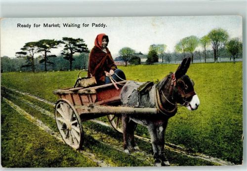 1913 Esel Karren, ready for Market AK