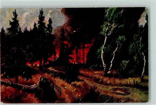 Waldbrand Serie 1524-2 AK