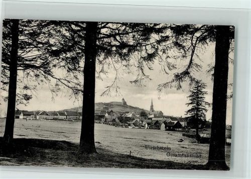 Ulrichstein Gesamtansicht