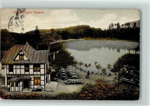 Bad Säckingen 1908 Bergsee Fachwerkhaus