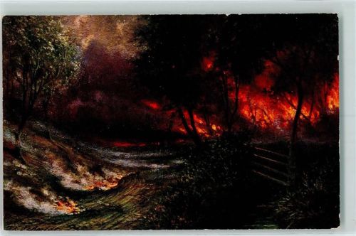 Tucks Serie Waldbrand Nr. 892 AK