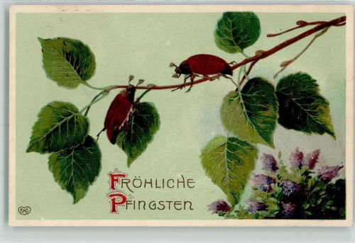 1918 Pfingsten Flieder Maikäfer Verlag EAS Prägedruck