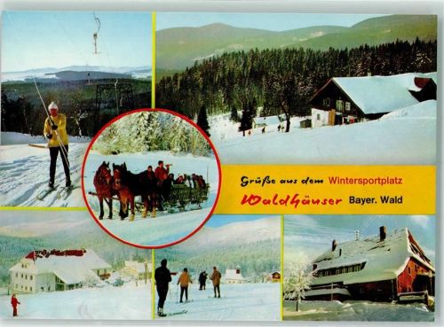 Waldhäuser Winter Skifahrer Pferdeschliten