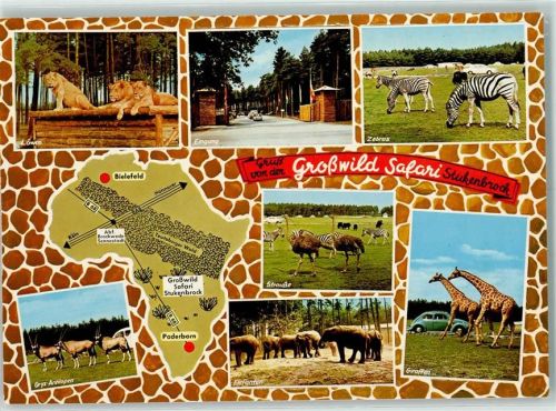 Stukenbrock Auto-Foto-Safari Senne-Grosswild-Safari Löwen Eingang Zebras Strauße Giraffen Elefanten Oryx-Antilopen