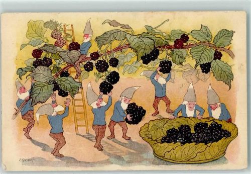 1919 Künstlerkarte sign. Kreidolf Zwerge plücken Beeren