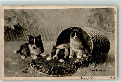 1905 Hundewelpen im Korb sign. Maude Serivaner Künstlerkarte
