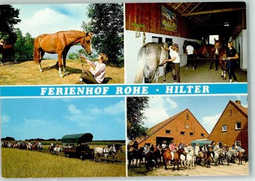Hilter Rückseite mit Abschürfungen bzw Kleberesten Ferienhof Rohe Pferde Pferdewagen