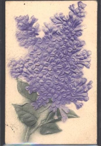 1907 Reliefdruck