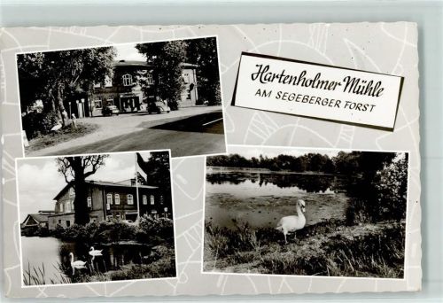 Hartenholm Hartenholmer Mühle am Segeberger Forst Schwäne