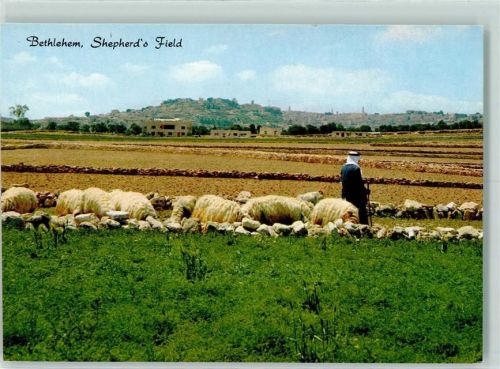 Bethlehem Shepherds Field