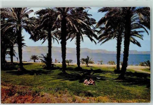 En Gev On the Lake of Galilee Kibutz ein Gev