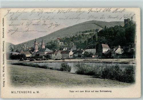 Miltenberg Blick auf dem Schlossberg