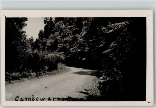 1930 Cambewarrra Gebirge , New South Wales AK