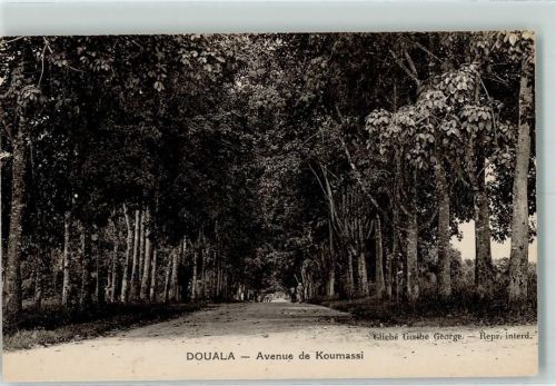 Douala 1931 Avenue de Koumassi