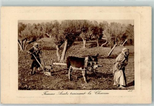 LL. Nr. 6376 Scenes et Types passepartout - Landwirtschaft, Esel mit Pflug - Femme Arabe trainant la Charrue
