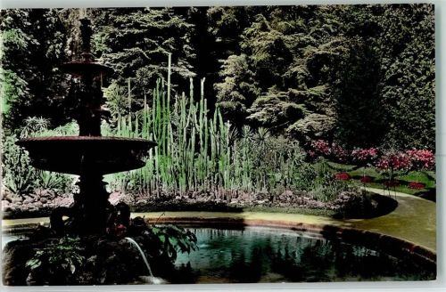 Überlingen Stadtgarten Kakteengruppe Springbrunnen