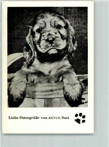 Illustrierte Revue AK