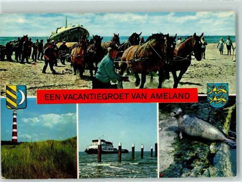 1975 Een Vacantiegroet van Ameland Wappen AK