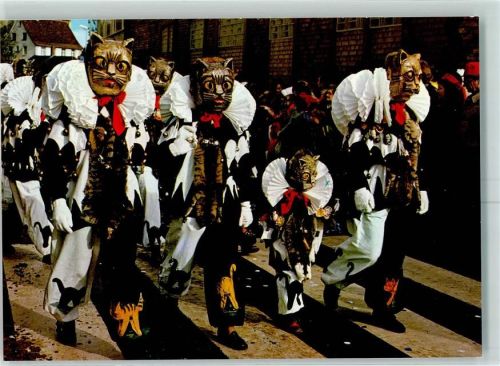 Meßkirch Messkircher Katzen