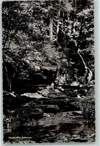 Monbach Monbachtal