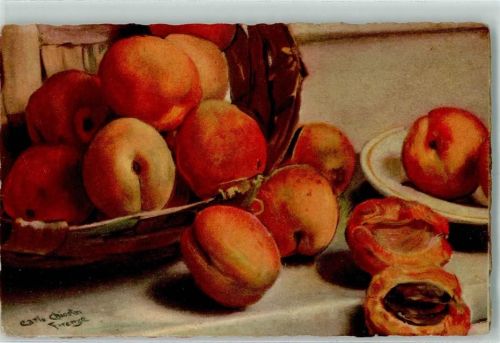 1932 Früchte Stilleben AK Aprikosen