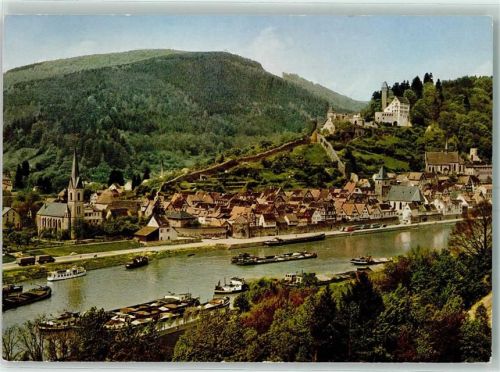 Hirschhorn Schloß-Hotel auf der Burg am Neckar Lastkähne Ausflugsschiff