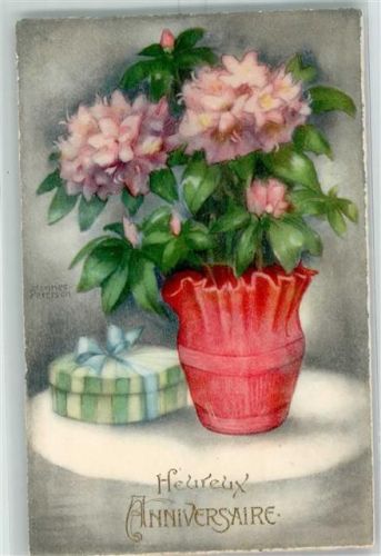 Geburtstag Blumenstock Geschenk