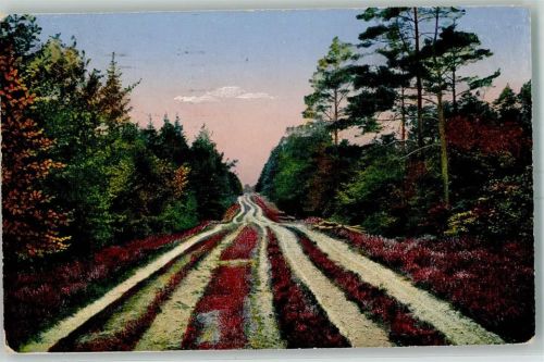 21227 W2106 Bendestorf 1915 - Lüneburger Heide