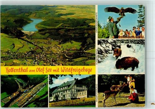 Hellenthal Wildfreigehege Adler Wildschweine Rehe Olef-See Talsperre