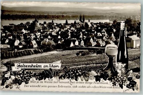 Geisenheim Wein Römer Trauben