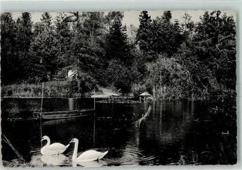 Kellinghusen Stadtpark Schwanenteich