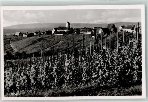 Ötlingen Weinberg