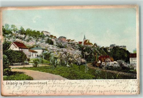 Leisnig 1906 im Blütenschmuck