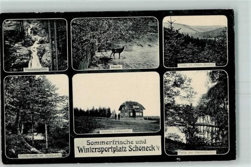 Schöneck Risswasserfälle Skihütte Falkenstein Hirsch Herrenteiche