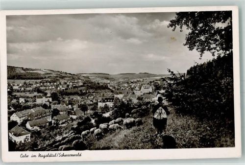 Calw Nagoldtal Schafsherde und Schäfer