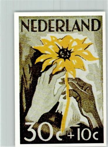 Abbildung Niederländischer Briefmarke Sonnenblume
