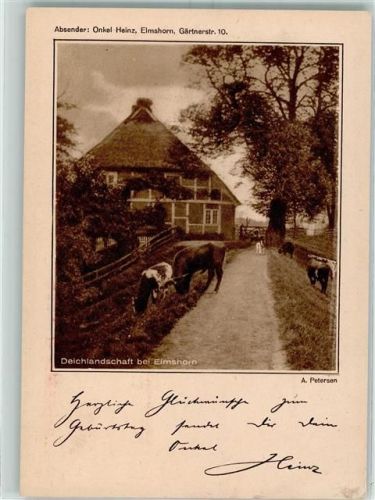 25335 W2200 Elmshorn - Deichlandschaft Kühe
