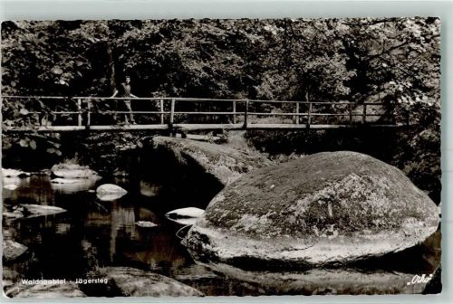 Falkenberg Jägersteg Waldnaabtal