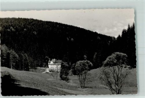 Markersbach Kurheim Wolfner Mühle